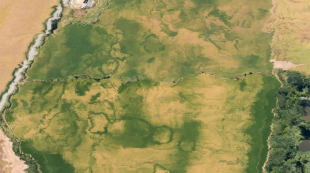 sensing gaia | paul heinicker